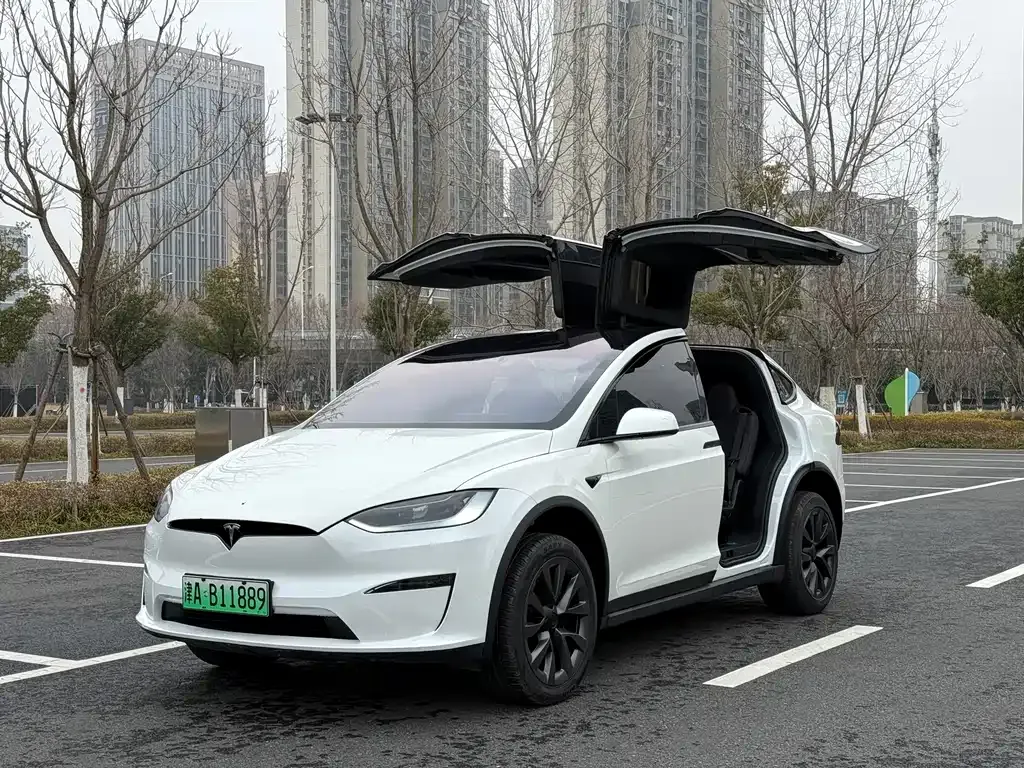 Tesla Model X — фото 1