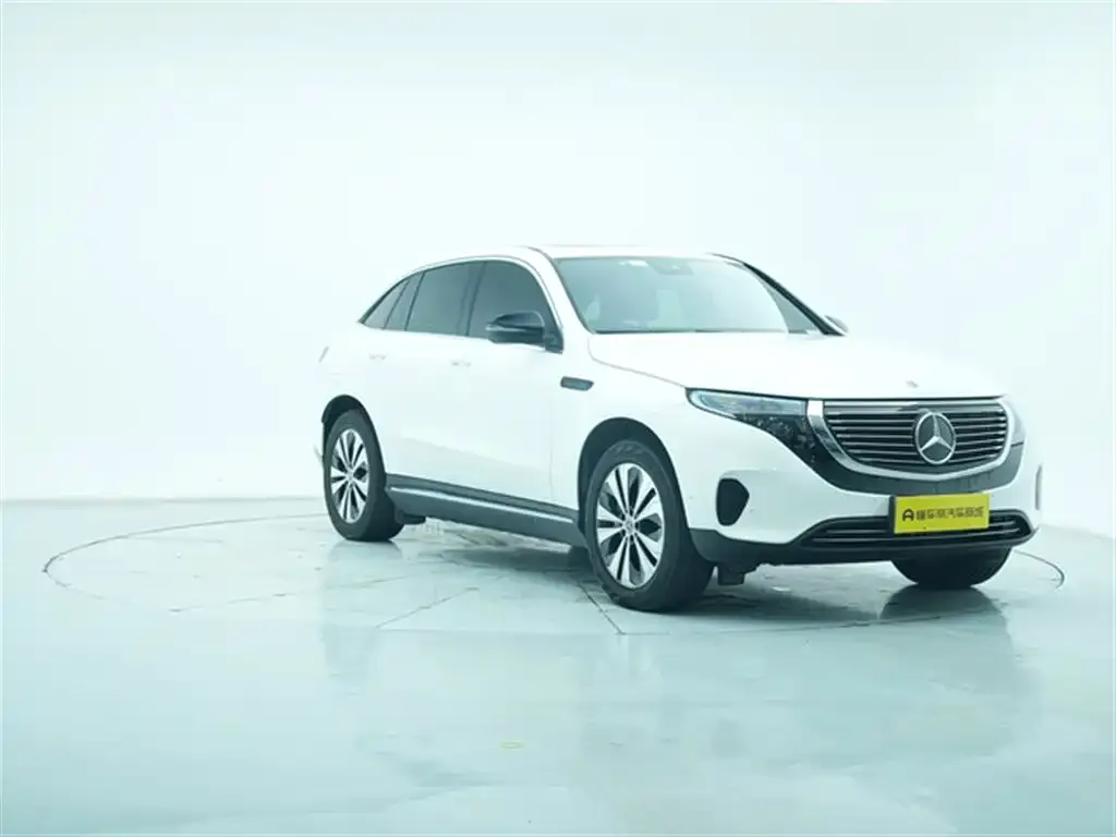 Mercedes-Benz EQC — фото 10