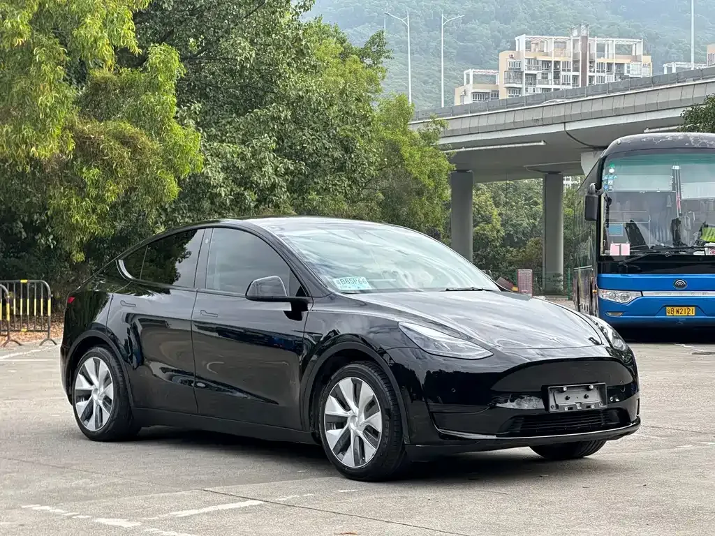 Tesla Model Y — фото 3