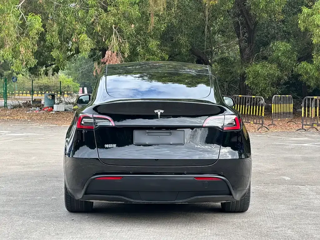 Tesla Model Y — фото 9