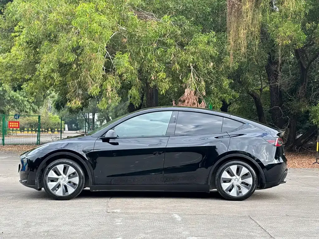 Tesla Model Y — фото 10