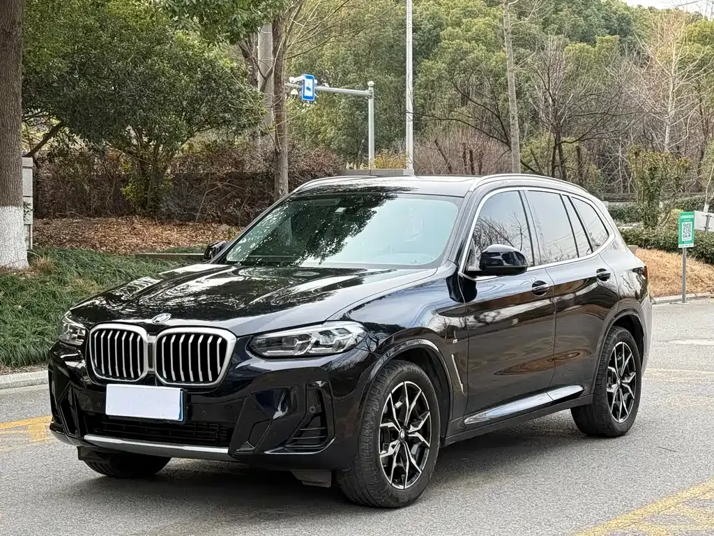 BMW X3 — фото 1