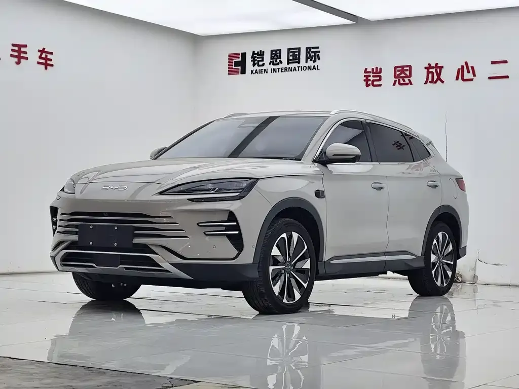 BYD PLUS New Energy — фото 1