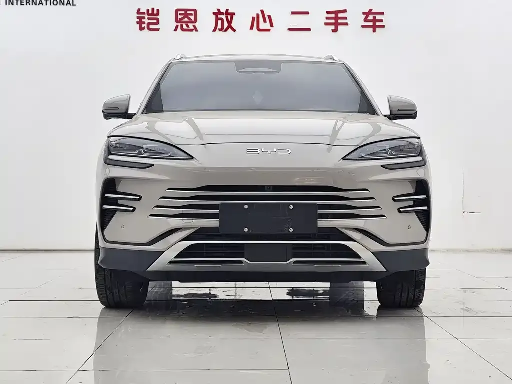 BYD PLUS New Energy — фото 4
