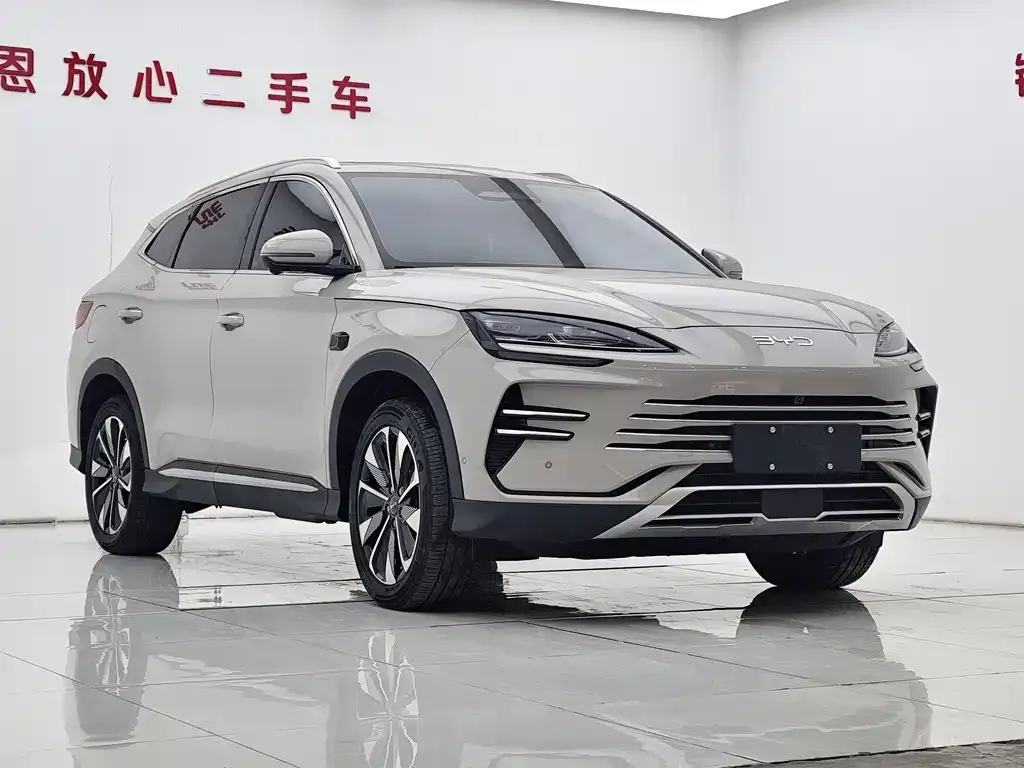 BYD PLUS New Energy — фото 10