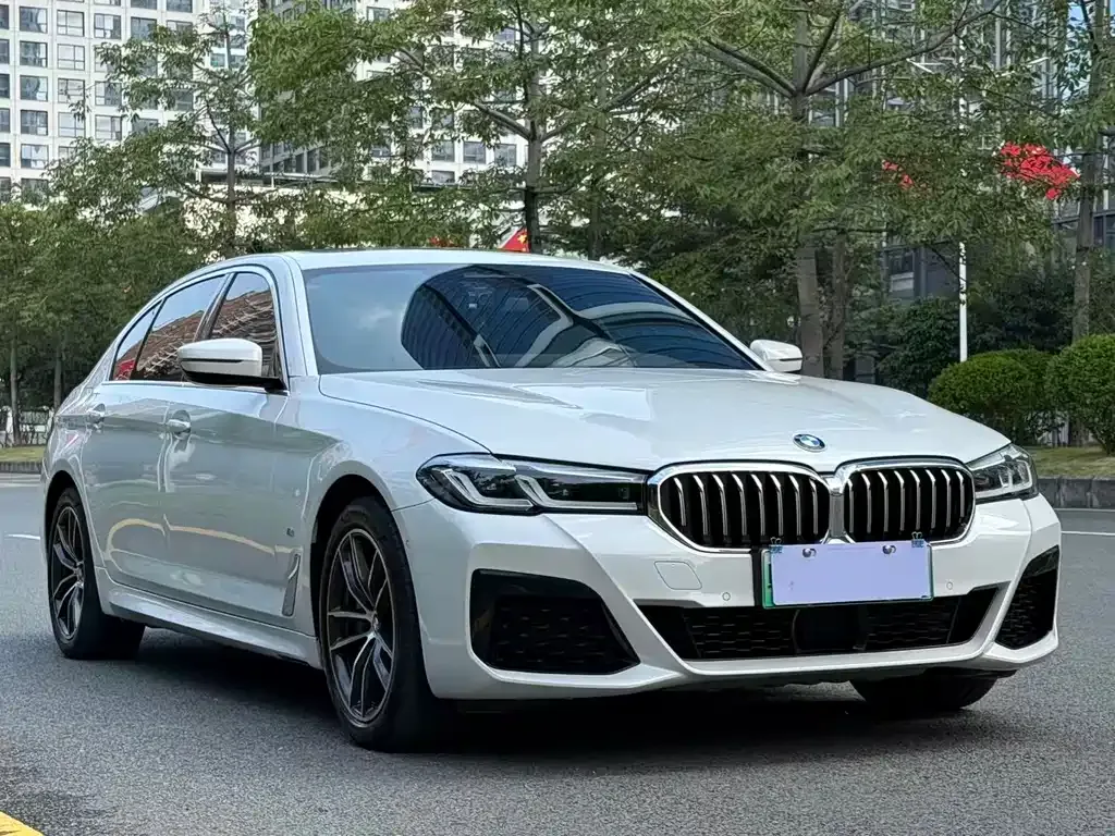 BMW 5 Series New Energy — фото 4