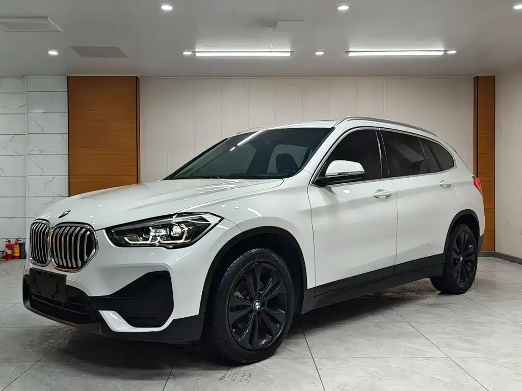 BMW X1 — фото 1