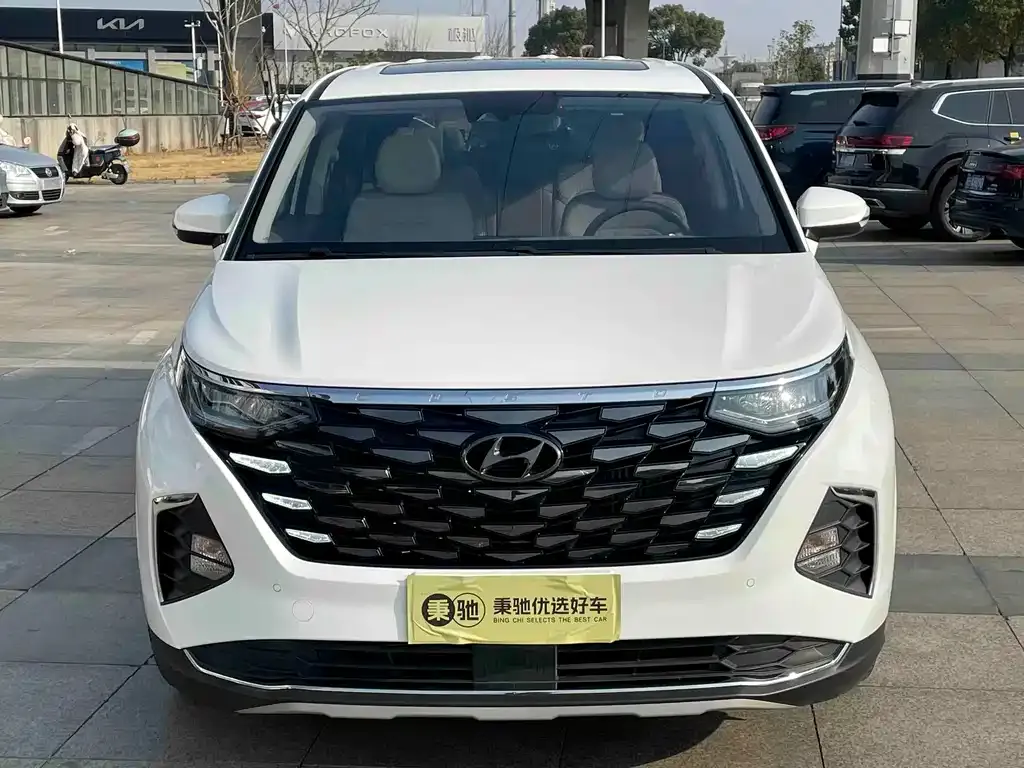 Hyundai Custo — фото 8