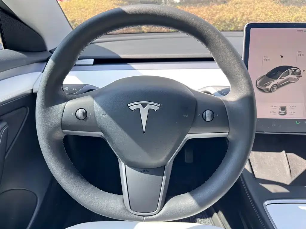 Tesla Model 3 — фото 6