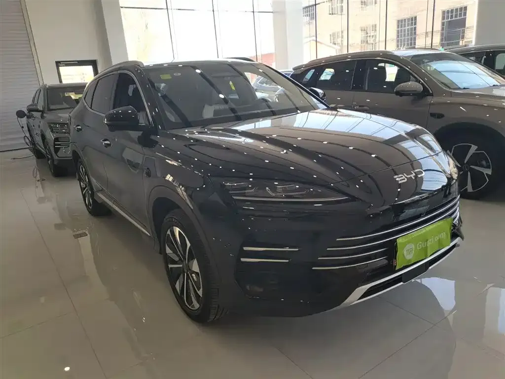 BYD PLUS New Energy — фото 8
