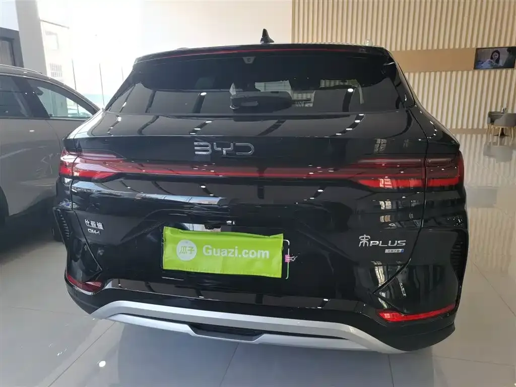 BYD PLUS New Energy — фото 6
