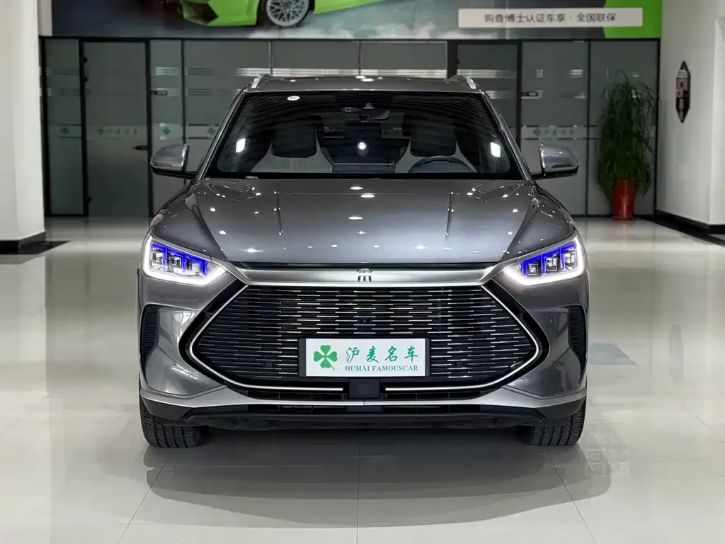 BYD PLUS New Energy — фото 3