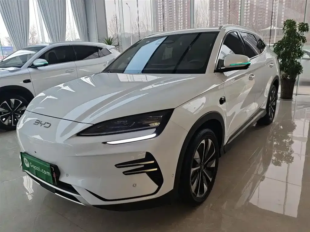BYD PLUS New Energy — фото 1
