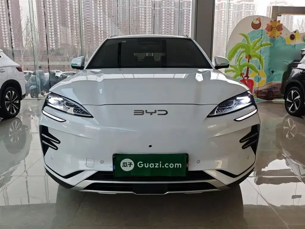BYD PLUS New Energy — фото 9