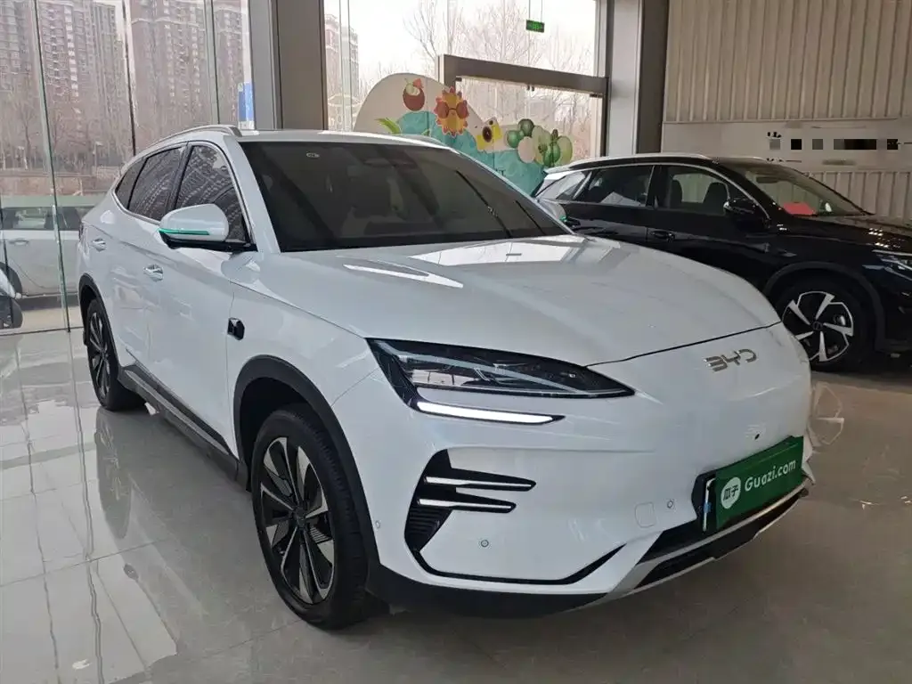 BYD PLUS New Energy — фото 5