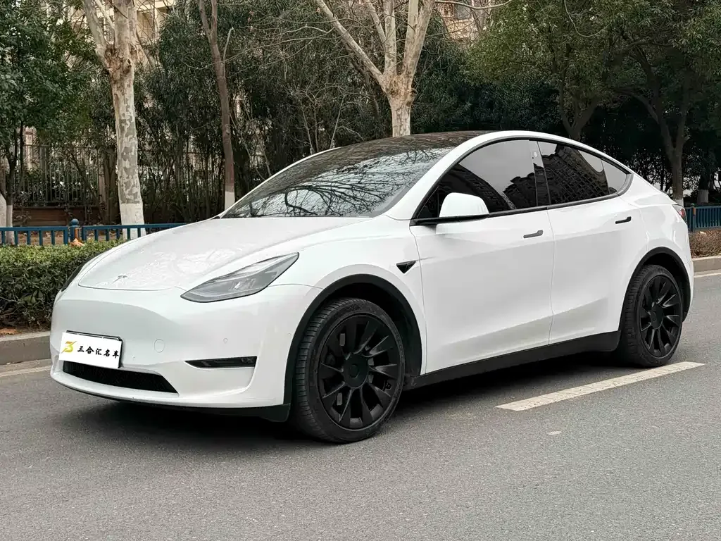 Tesla Model Y — фото 1