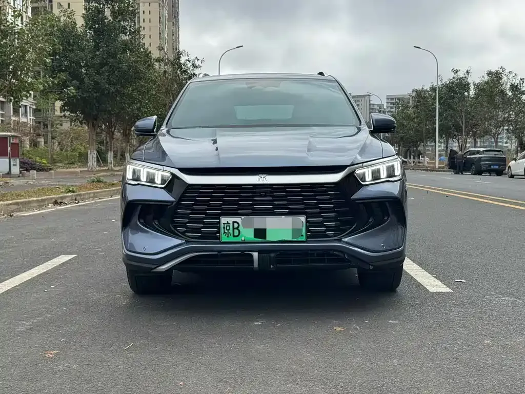 BYD Pro New Energy — фото 6