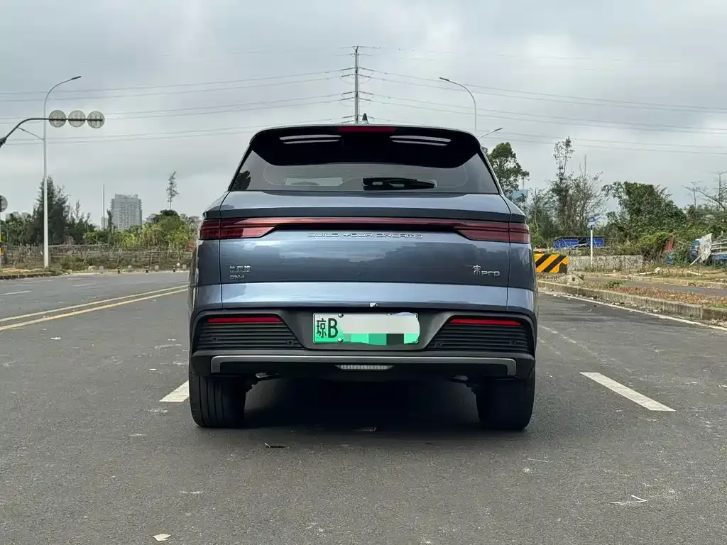 BYD Pro New Energy — фото 2