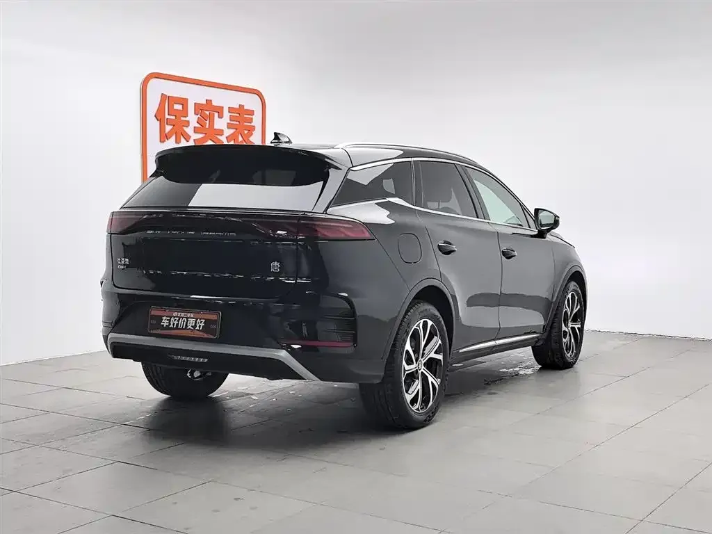 BYD Tang New Energy — фото 4