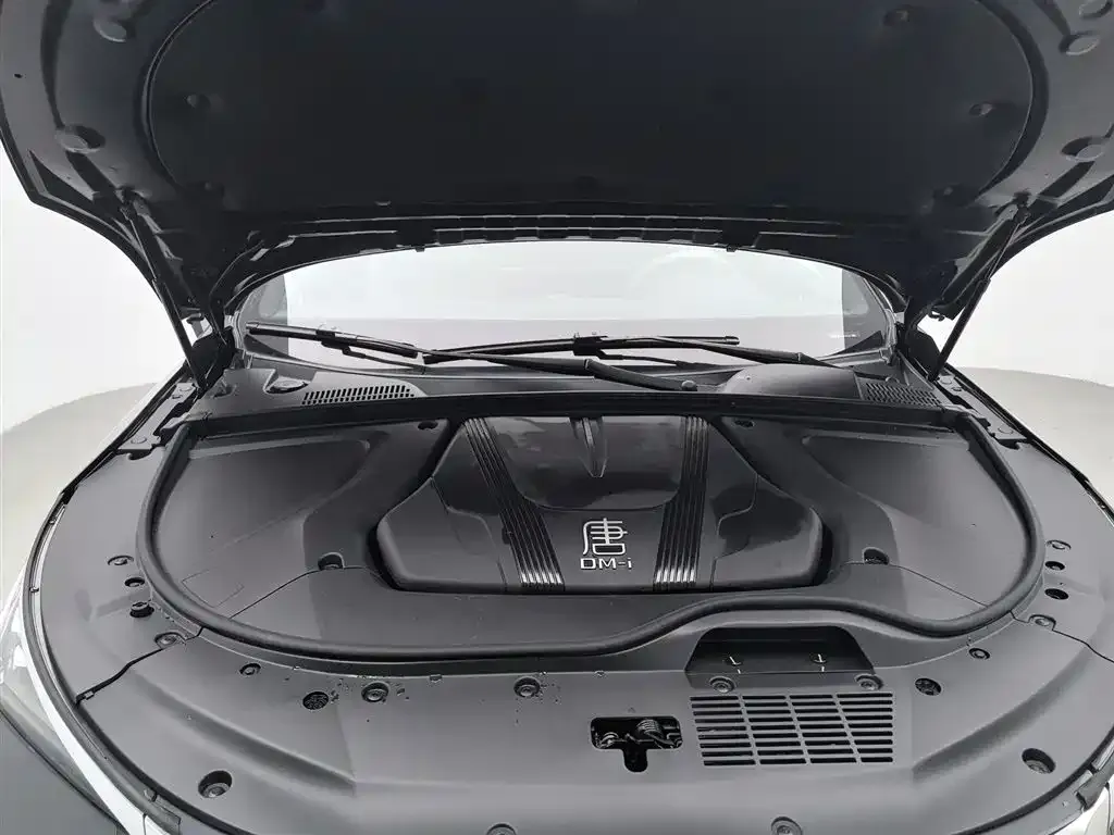 BYD Tang New Energy — фото 10