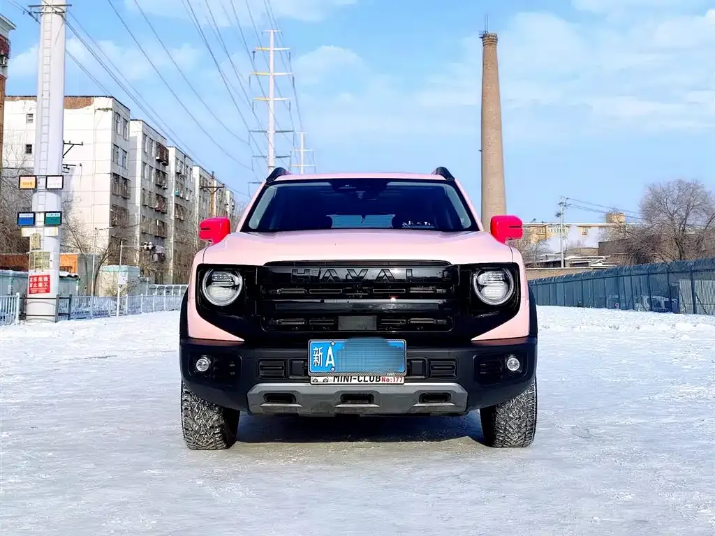 Haval Big Dog — фото 10