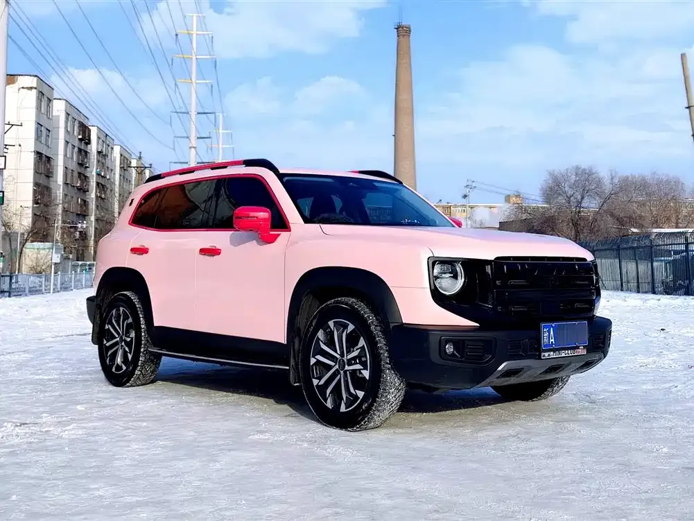 Haval Big Dog — фото 6