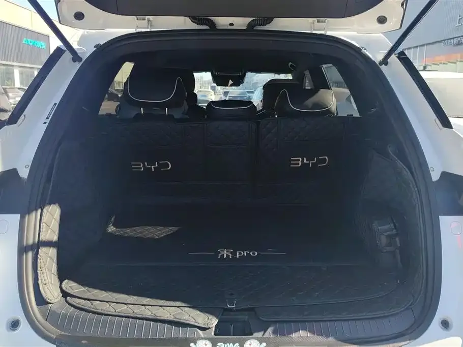 BYD Pro New Energy — фото 5