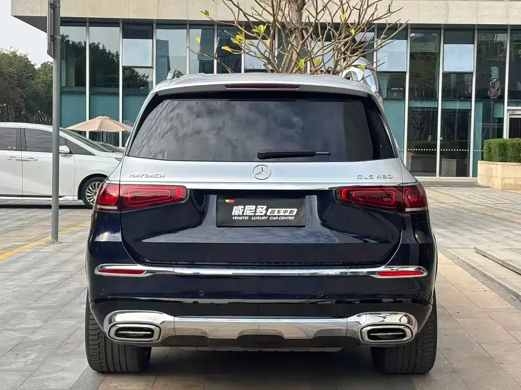 Mercedes-Benz GLS — фото 4