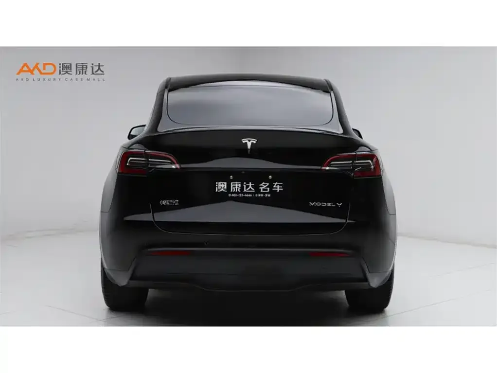 Tesla Model Y — фото 5