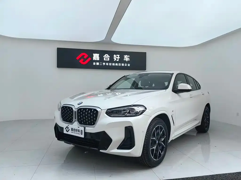 BMW X4 — фото 1