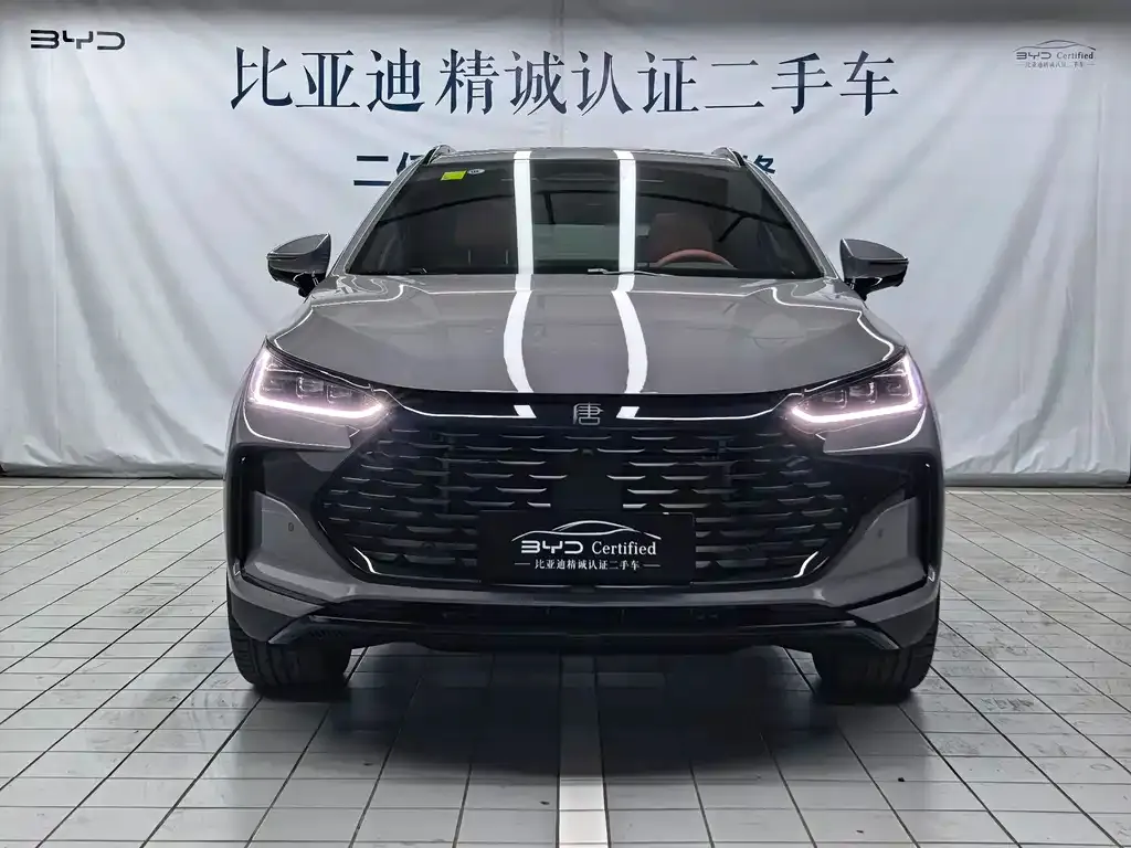 BYD Tang New Energy — фото 8