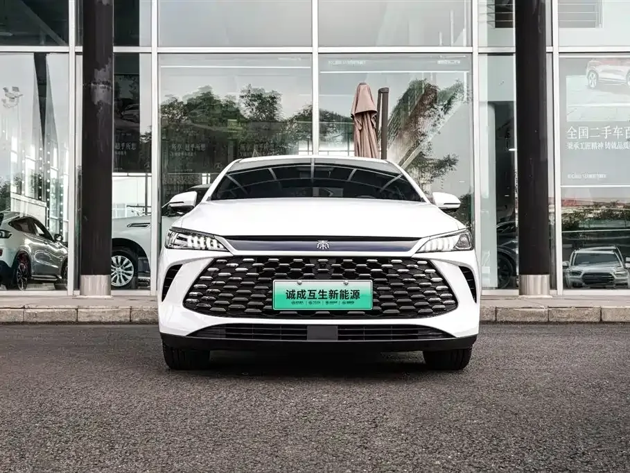 BYD Qin PLUS — фото 3