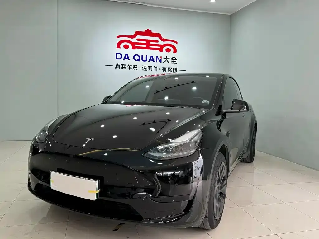 Tesla Model Y — фото 1