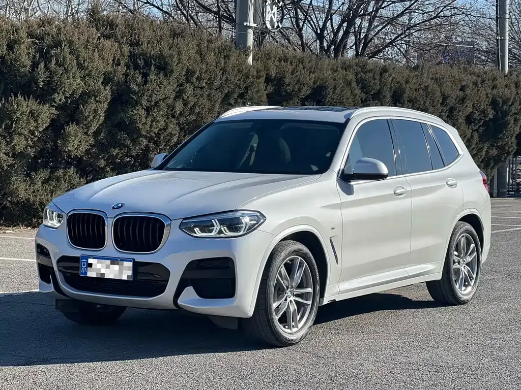 BMW X3 — фото 1