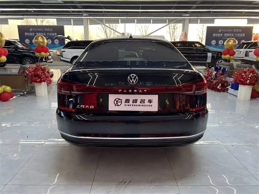 Volkswagen Passat — фото 8