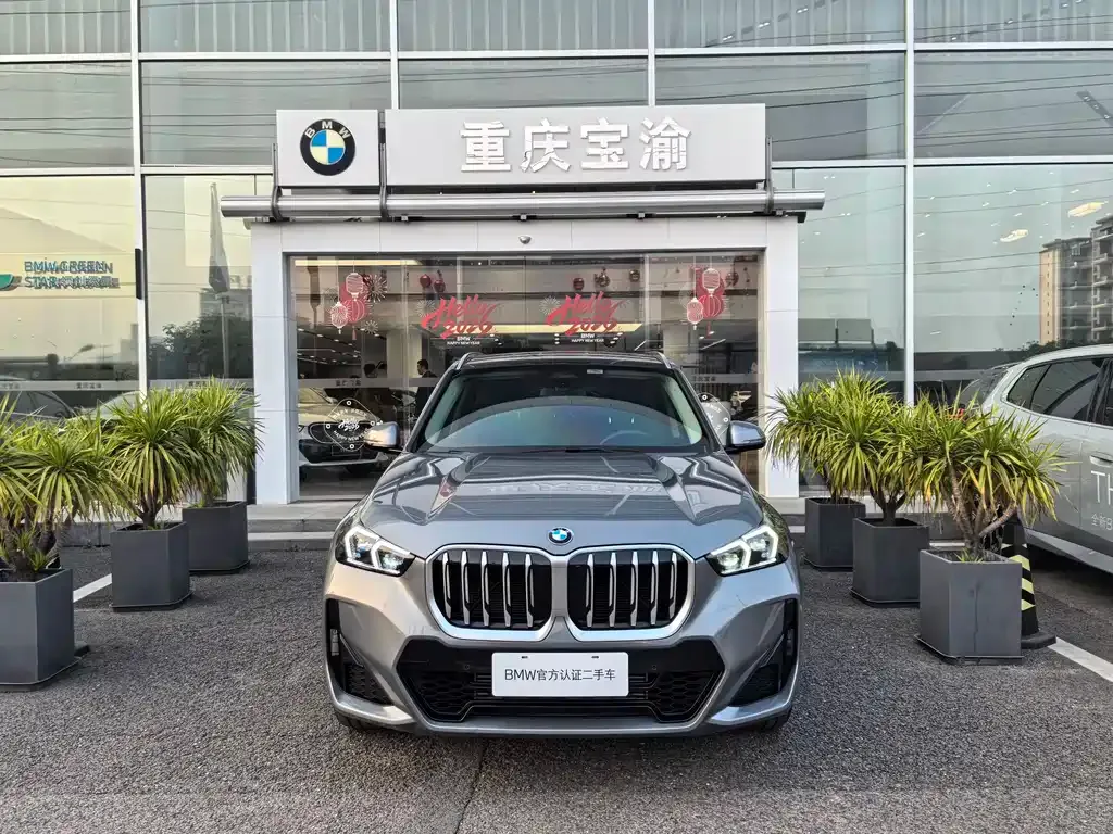 BMW X1 — фото 10