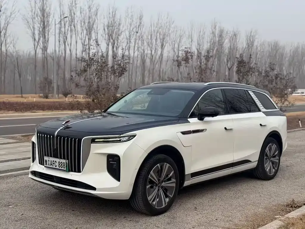 Hongqi E-HS9 — фото 1