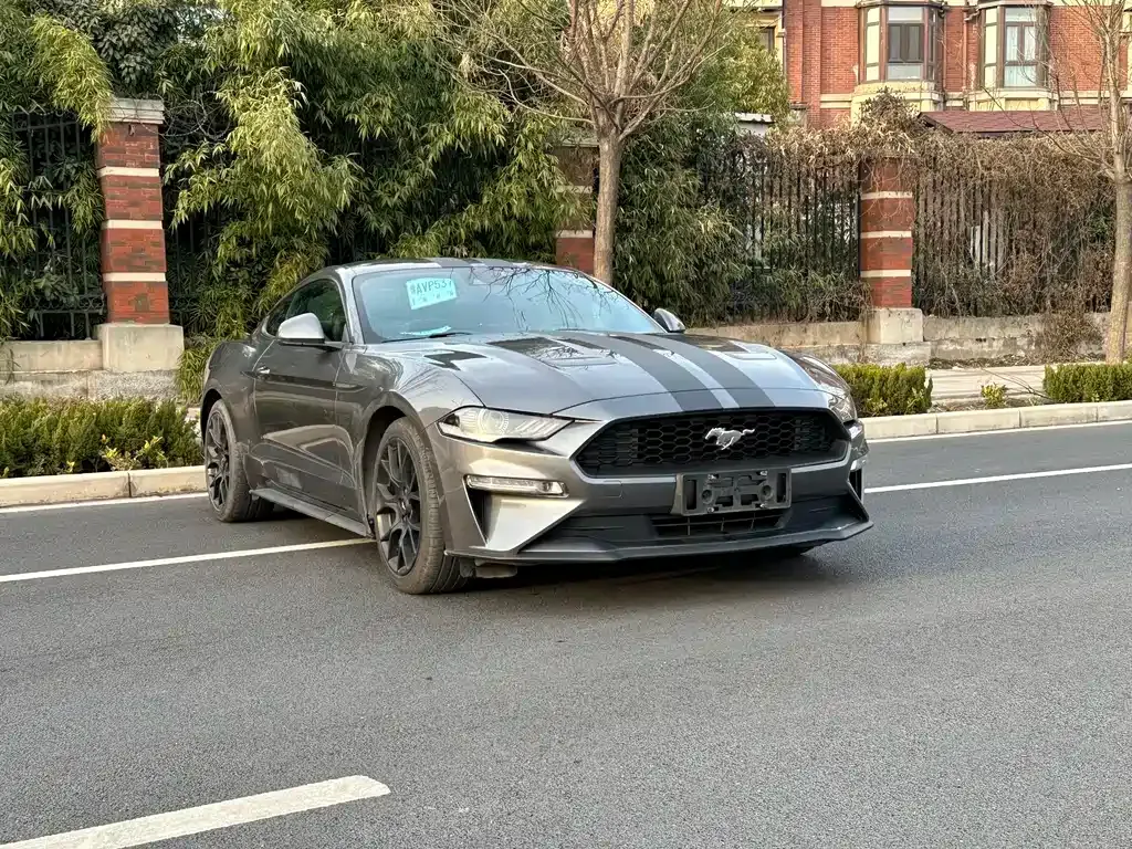 Ford Mustang — фото 10