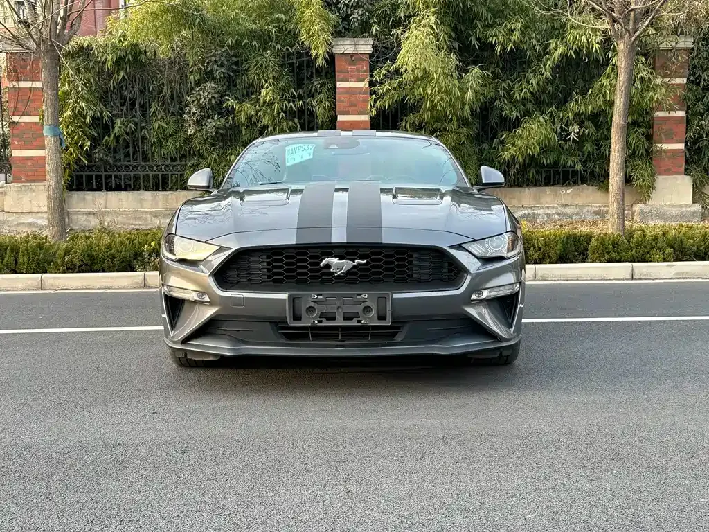 Ford Mustang — фото 9