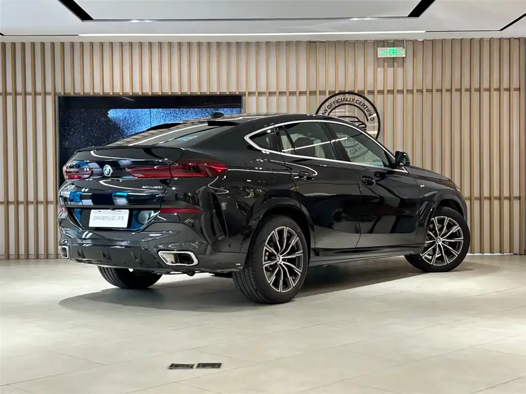 BMW X6 — фото 8