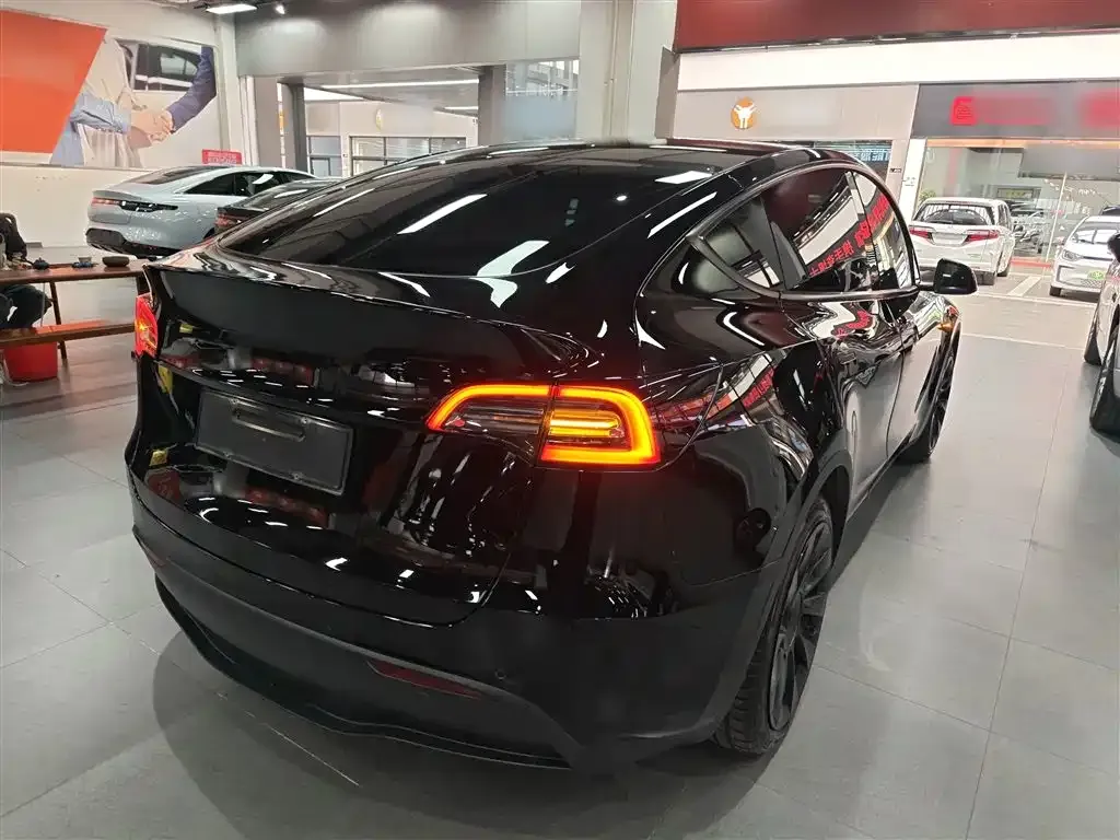 Tesla Model Y — фото 2