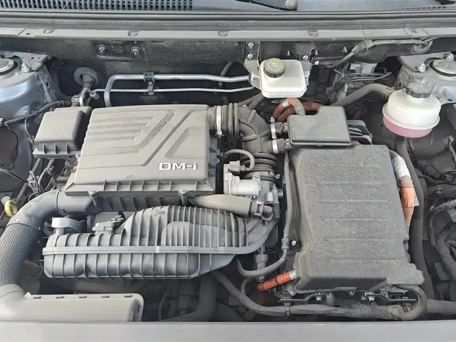 BYD Pro New Energy — фото 9