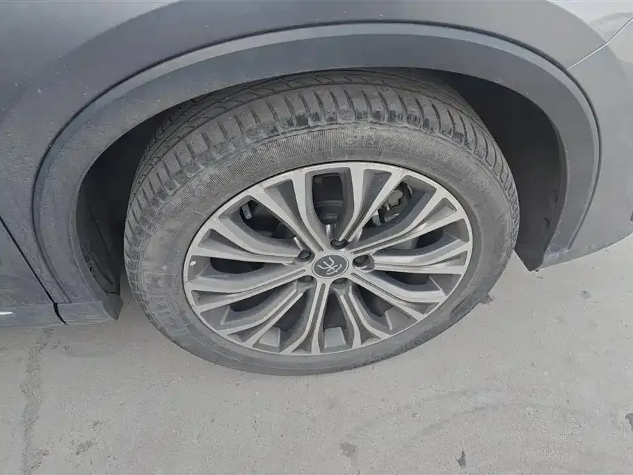 BYD Pro New Energy — фото 10