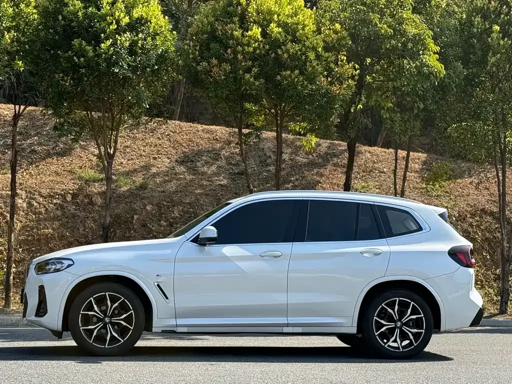 BMW X3 — фото 10