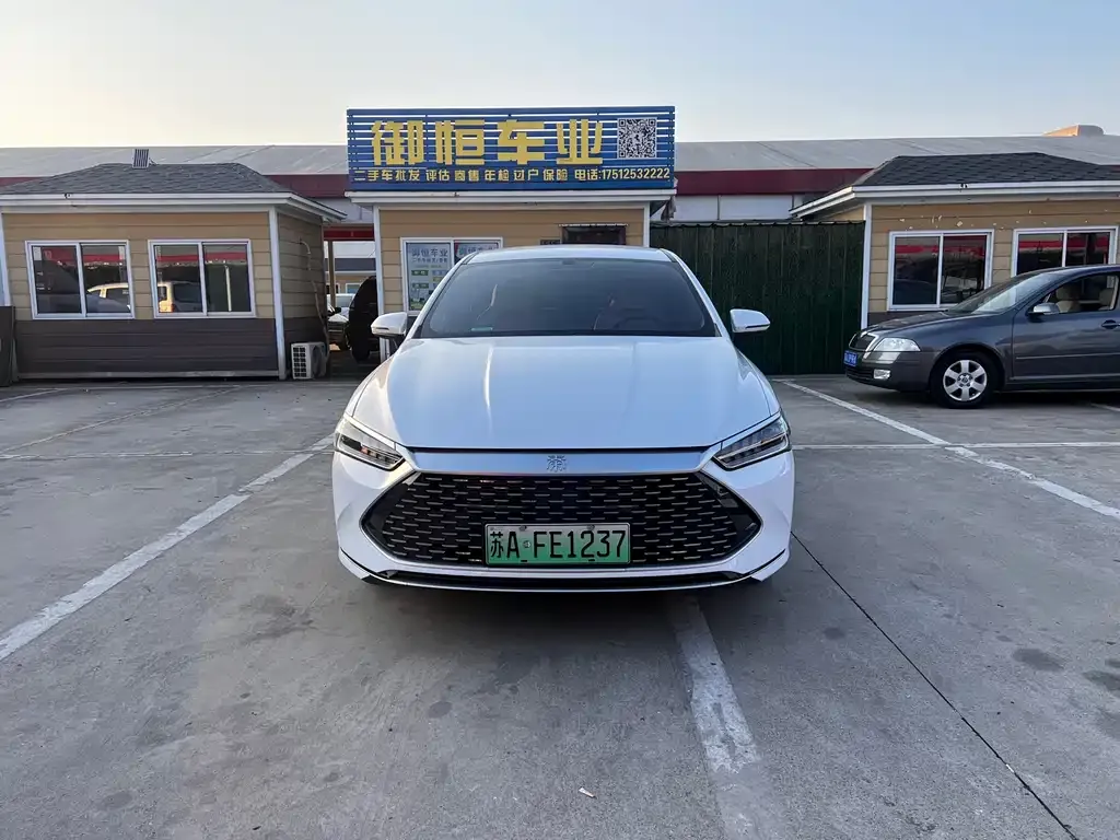 BYD Qin PLUS — фото 1