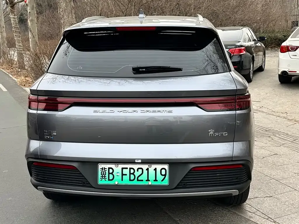 BYD Pro New Energy — фото 6