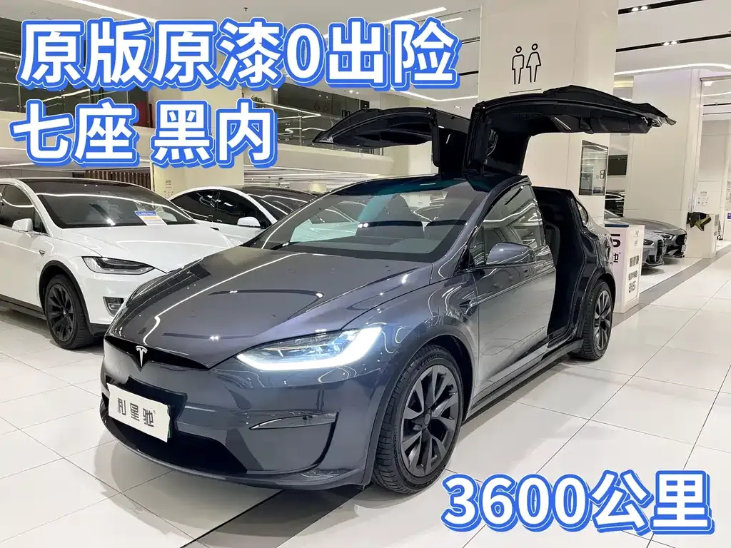 Tesla Model X — фото 1