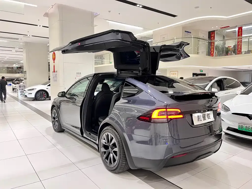 Tesla Model X — фото 9