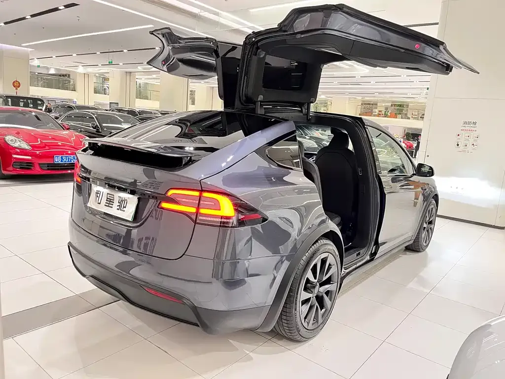 Tesla Model X — фото 5