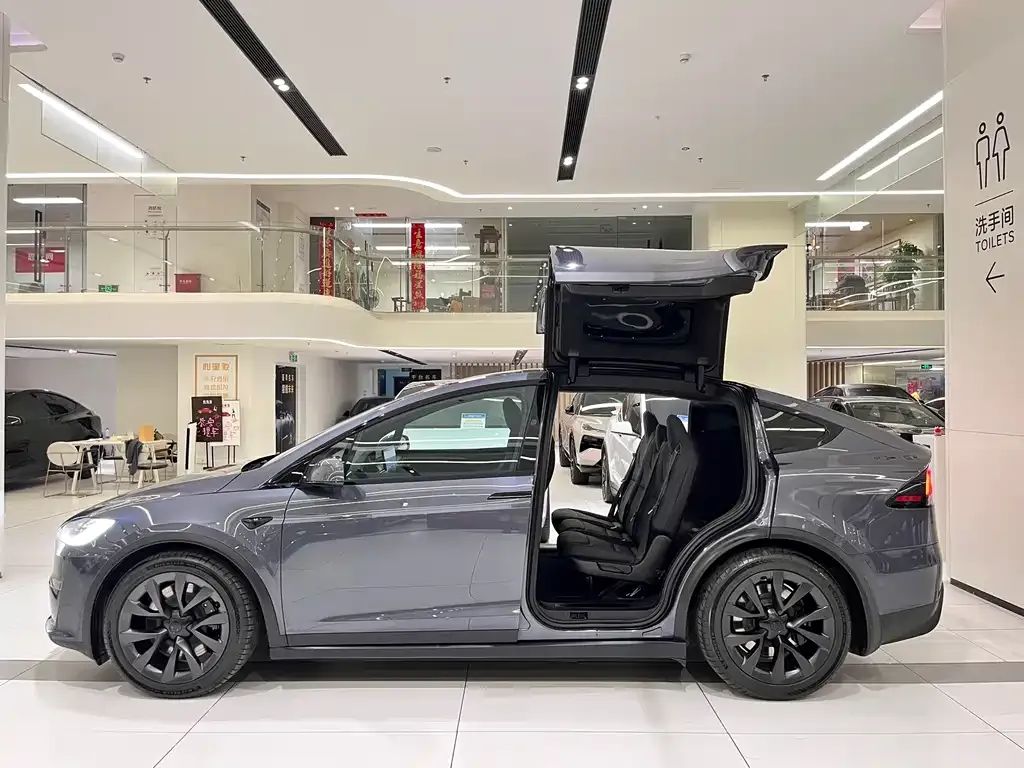 Tesla Model X — фото 10
